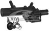 NISSA 1106100QAL Thermostat, coolant